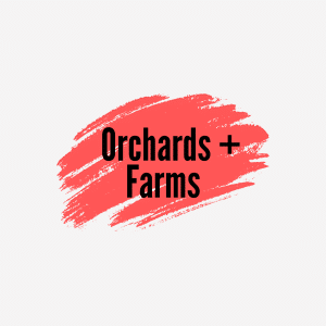 Ohio orchards