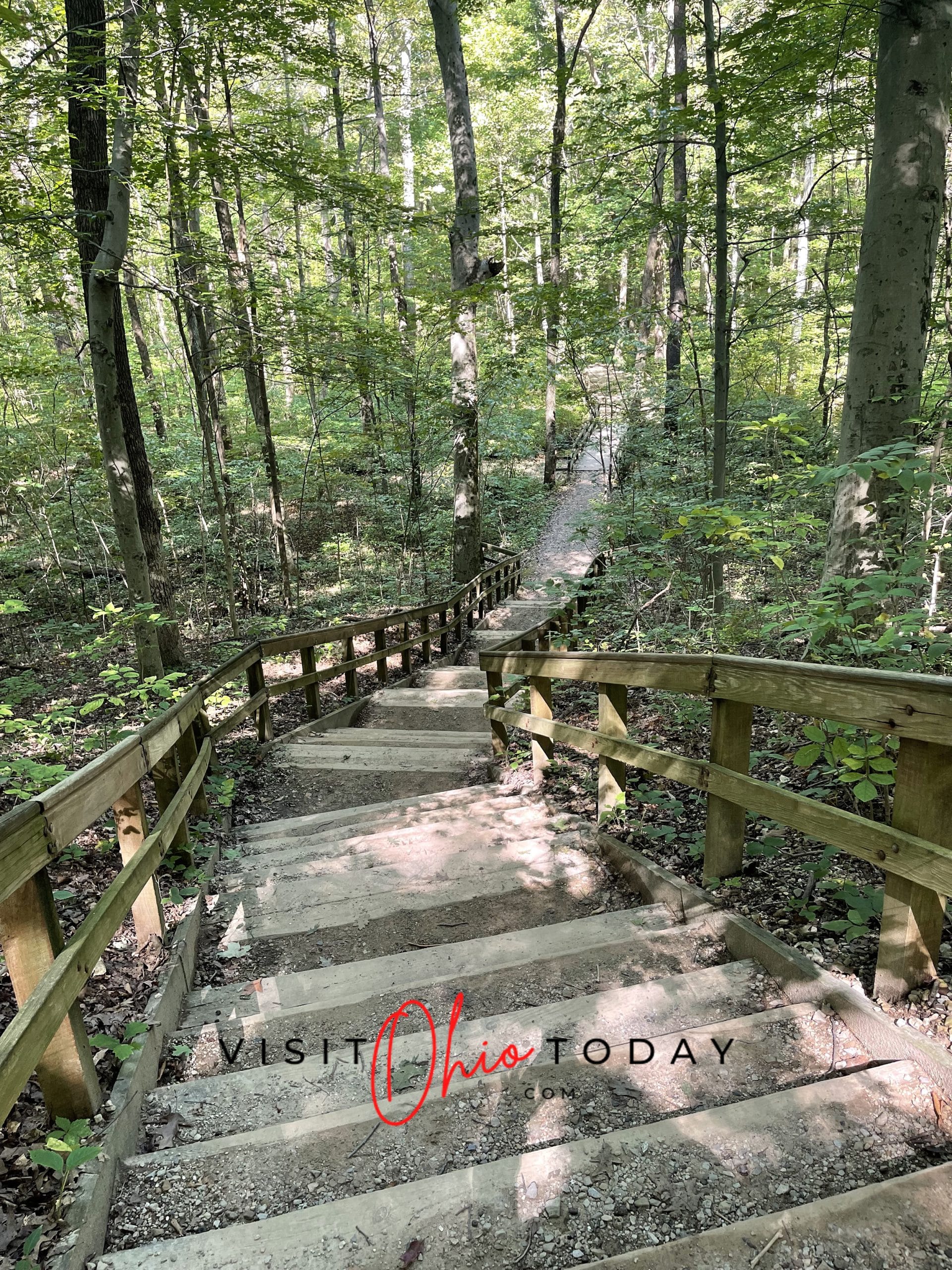 Vertical photo of a boardwalk of steps and a walkway at blendon woods with trees and foliage either side. Photo credit: Cindy Gordon of VisitOhioToday.com