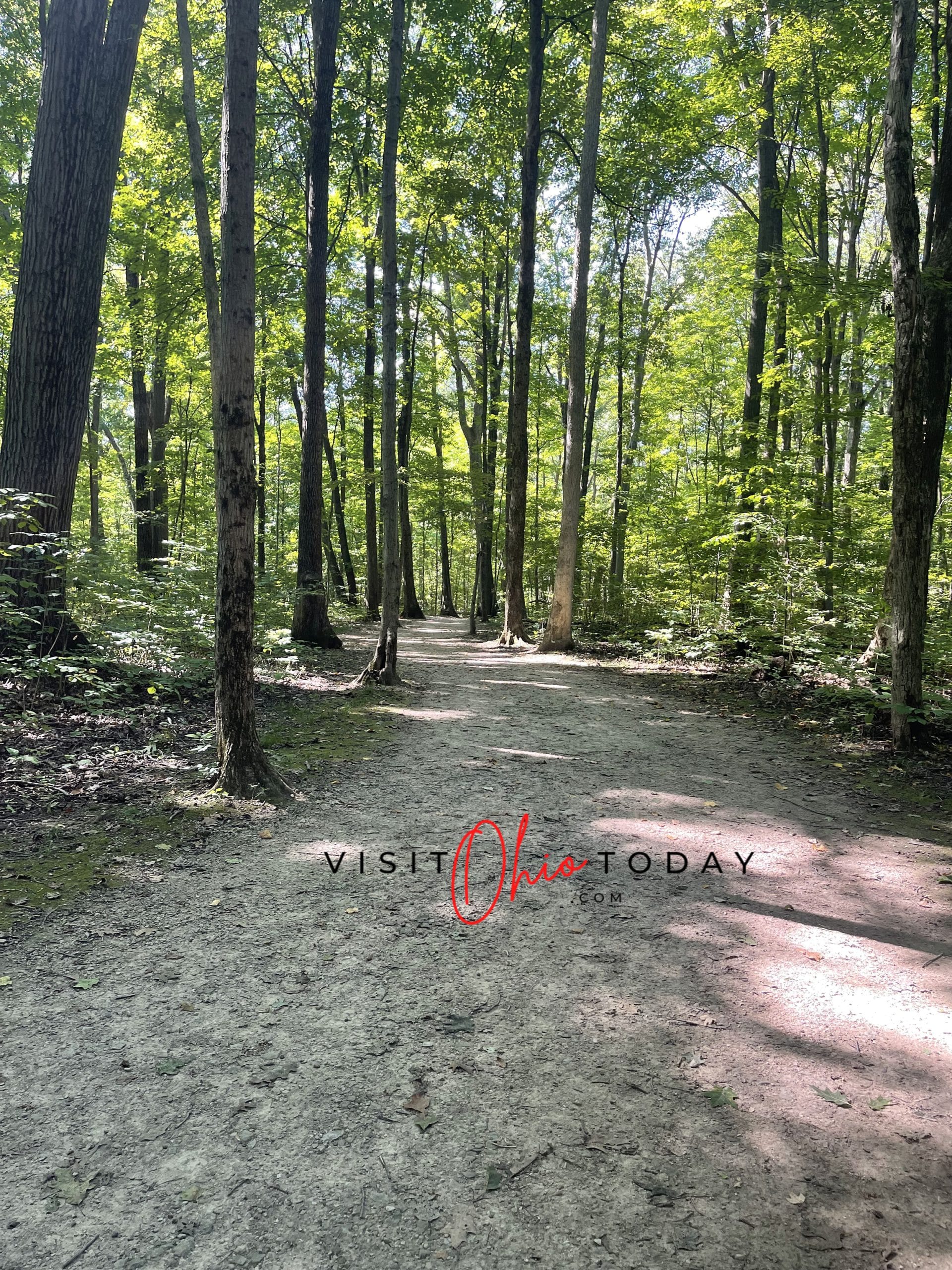 vertical photo showing a trail at blendon woods with a dirt path and trees and foliage either side. Photo credit: Cindy Gordon of VisitOhioToday.com