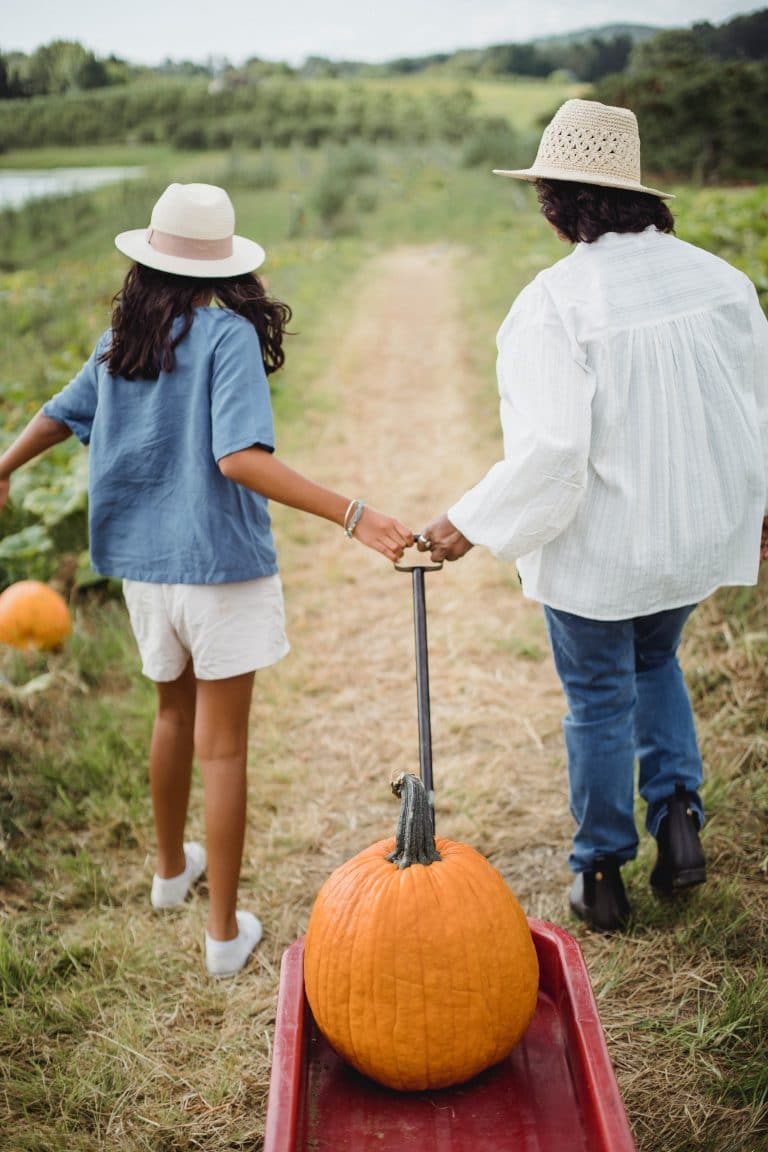 Pumpkin Patches In Ohio (Updated 2024) - Visit Ohio Today