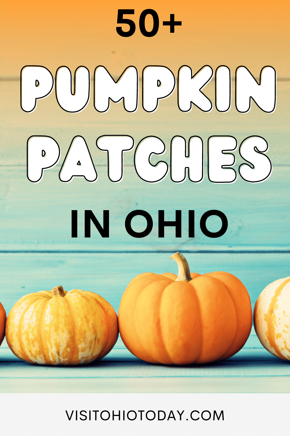 teal and orange back ground with 2 orange pumpkins at bottom. Text overlay says 50+ pumpkin patches in Ohio