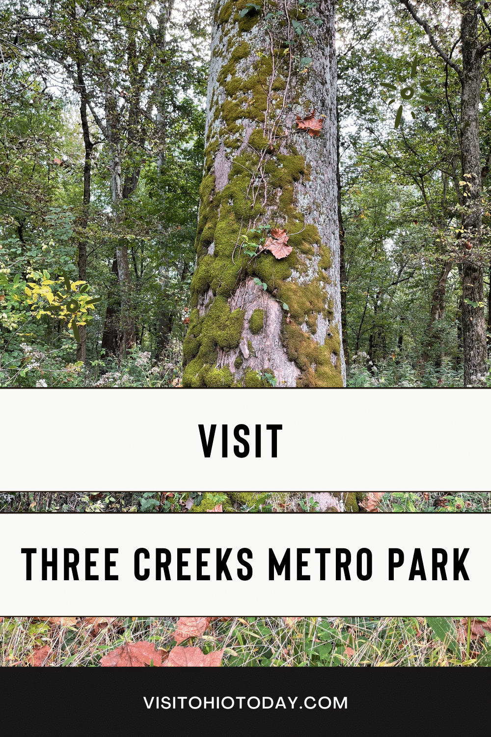 Three Creeks Metro Park is a large metro park located on the southeast side of Columbus, Ohio. Three Creeks Metro Park is perfect for walking, hiking and biking. #ohio #threecreeksmetropark