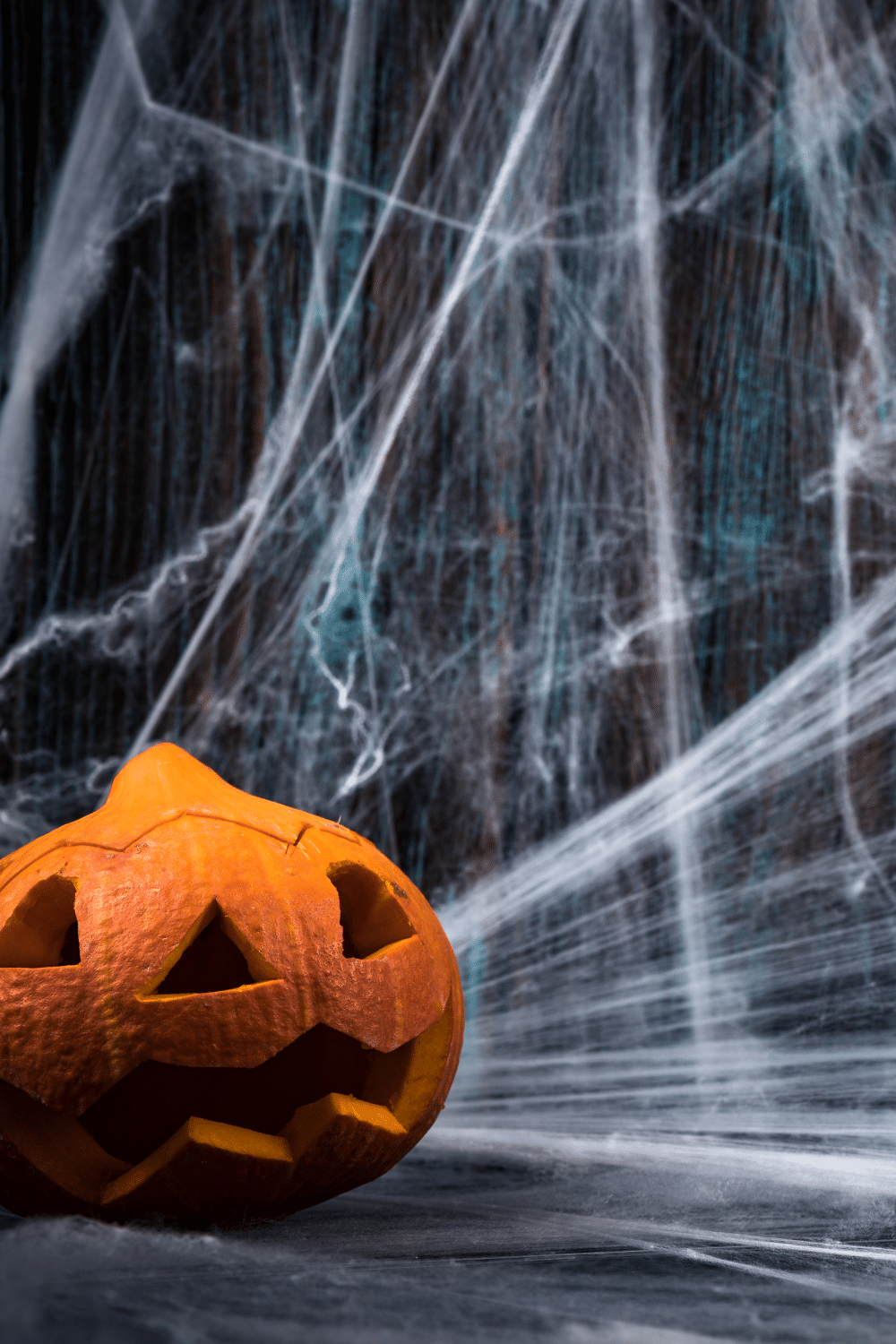 vertical image with a photo of a carved pumpkin in front of a network of cobwebs