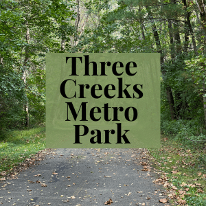 feature image for Three Creeks Metro Park forest with lots of green leaves and some leaves starting to turn color text overlay in black font say three creeks metro park