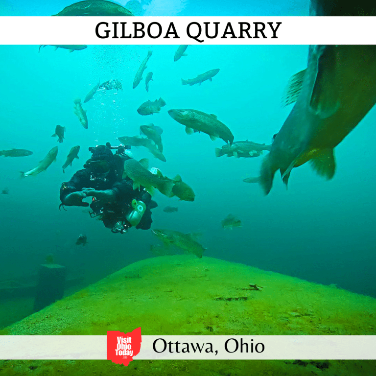 square image with a photo of a diver among a lot of fish in Gilboa Quarry. A white strip across the top contains the text Gilboa Quarry, and a white strip across the bottom has the text Ottawa Ohio
