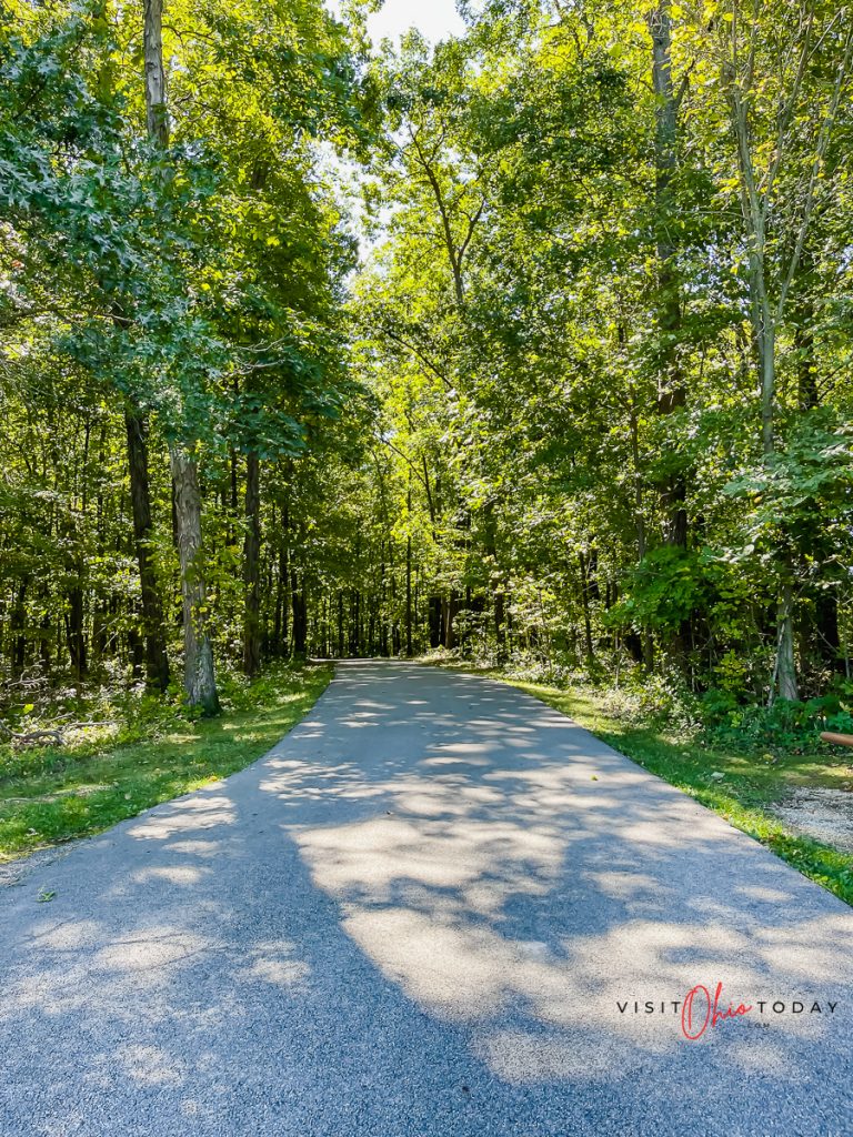 vertical photo with paved path heading into a green forest with the sunlight peaking through