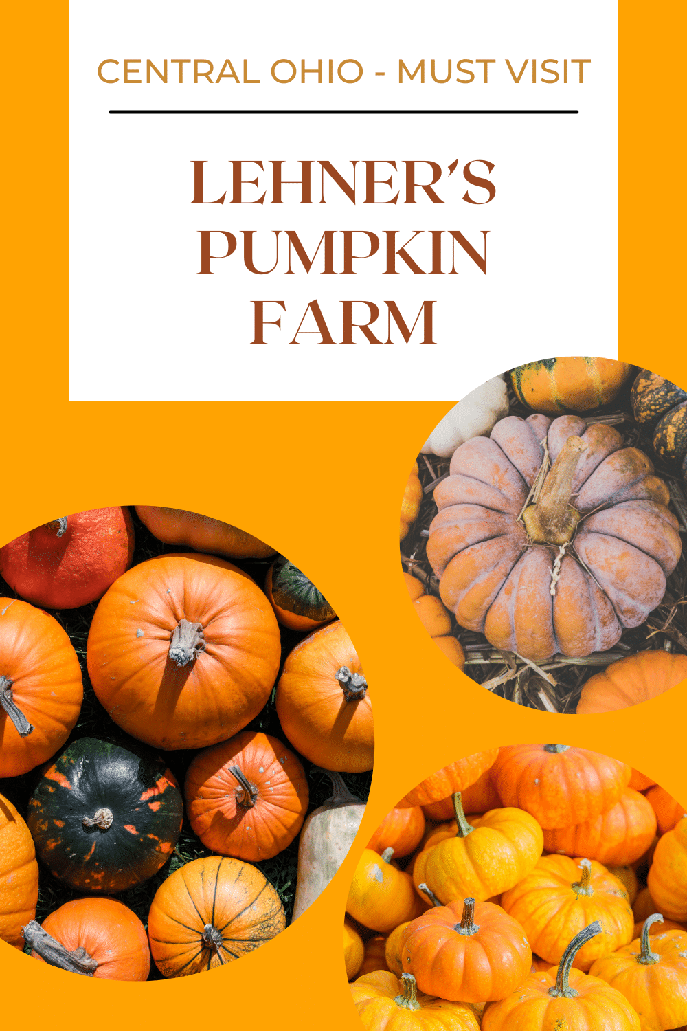Lehner’s Pumpkin Farm is an ultra popular pumpkin farm, located in central Ohio. Lehner’s Pumpkin Farm offers up 30+ family friendly activities, food and more in addition to you pick pumpkins. #ohio #centralohio #ohiopumpkins