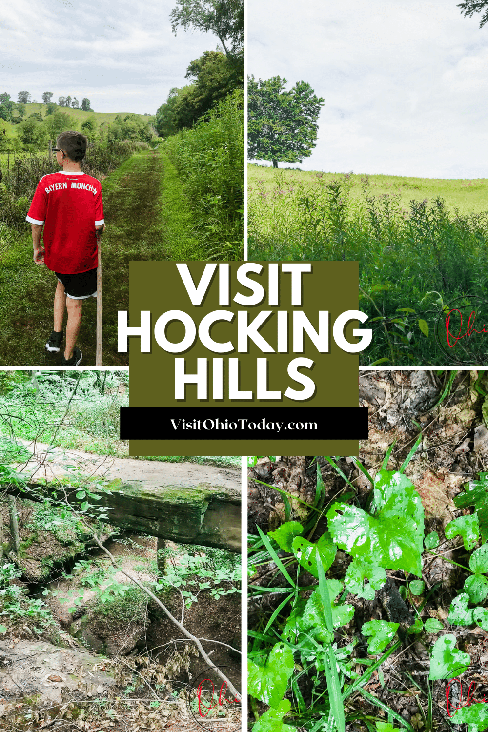 Rock Bridge State Park is a beautiful easy to moderate hiking trail to a natural bridge way, located in the Hocking Hills area. #hockinghills #Ohio