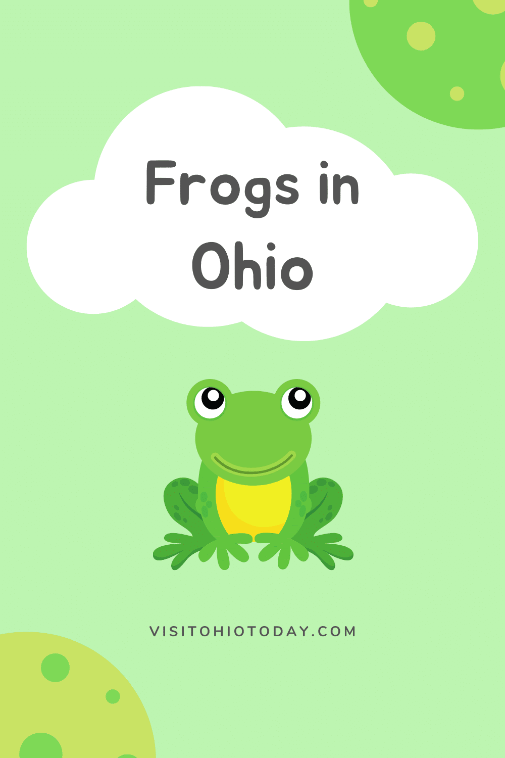 Ohio is home to at 15 species of frogs and also toads. If you are looking for some simple facts about Frogs in Ohio, this is your place. This is a simple guide to help you identify the Frogs in Ohio. #frogsinohio