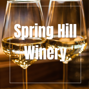 two wine glasses with white wine, text overlay: spring hill winery