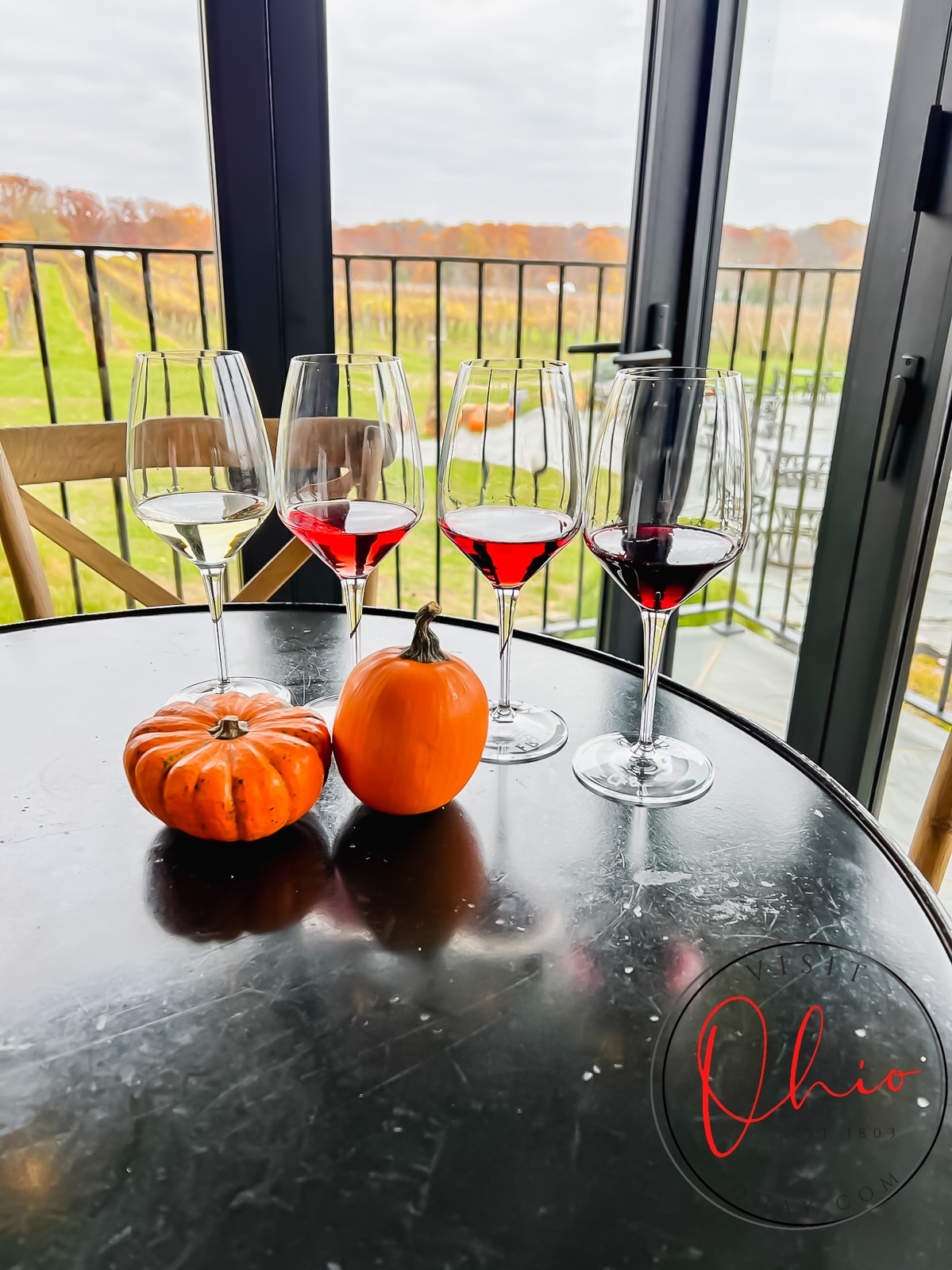round black table, 4 wine glasses, two have white wine, 2 have red wine, two pumpkins on table