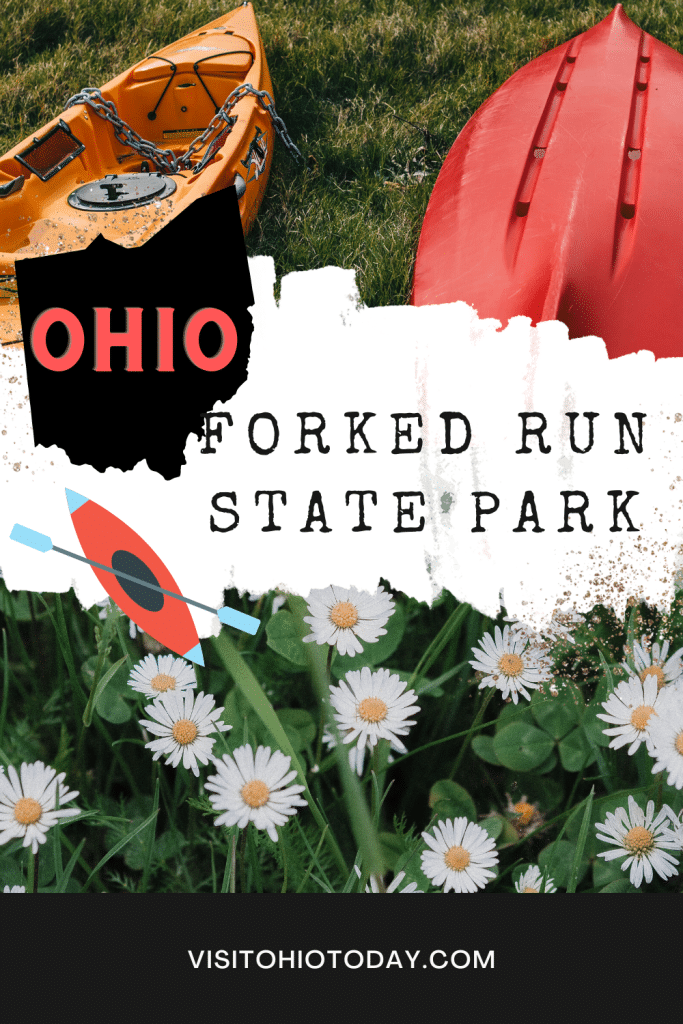 green grasses with white and yellow daises with text overlay forked run state park, top of photo has green grass with orange kayak and red kayak