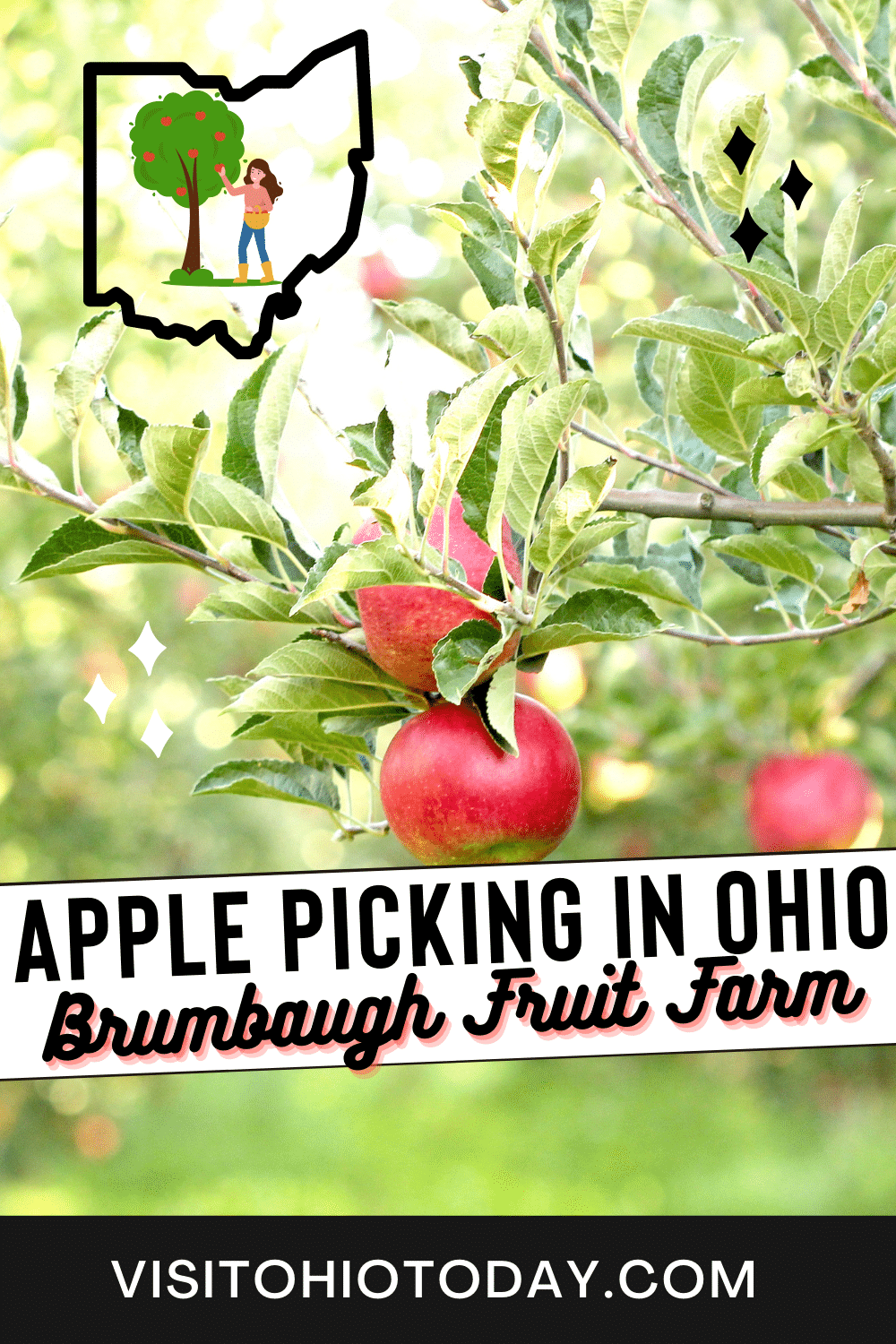 Brumbaugh Fruit Farm is located in Arcanum, Ohio. At Brumbaugh Fruit Farm you can find lots of fun Fall activities and Fall themed food.