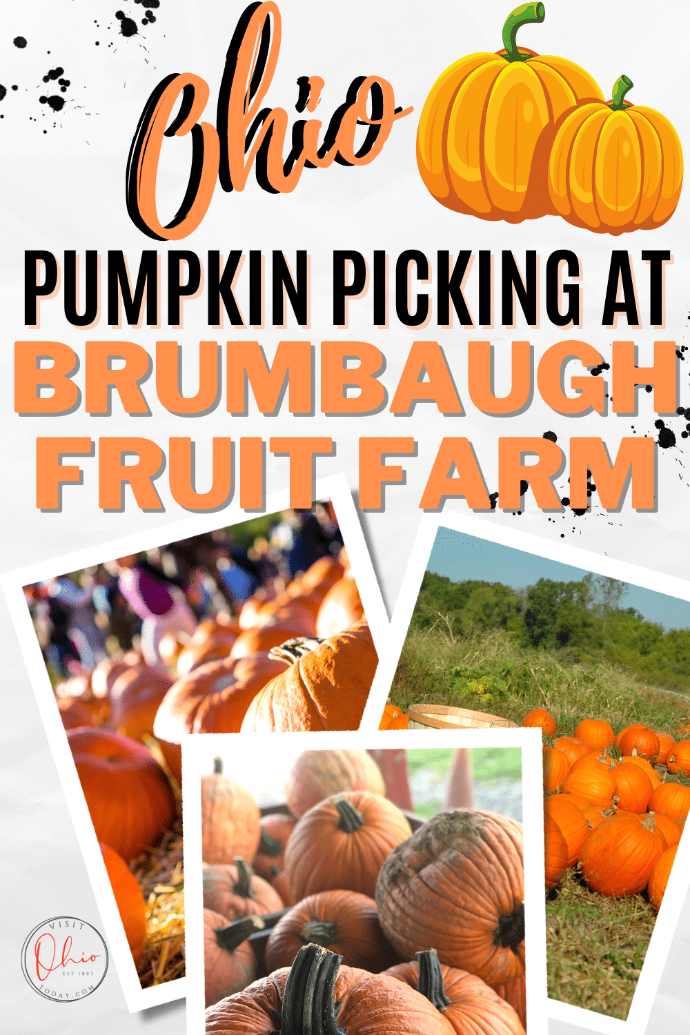 Brumbaugh Fruit Farm is located in Arcanum, Ohio. At Brumbaugh Fruit Farm you can find lots of fun Fall activities and Fall themed food. #ohio #apples #pumpkins #fallfestival #fruitfarm