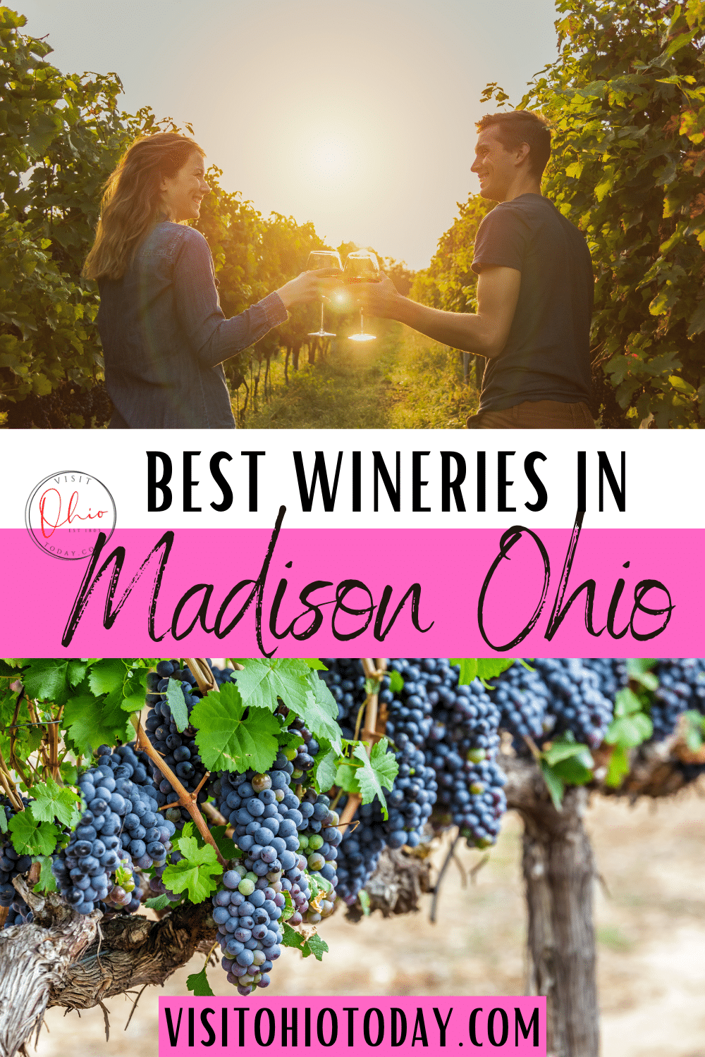 The Wineries in Madison Ohio are the perfect place to have a weekend of fun, food and great wine! There are plenty wineries in Madison Ohio to keep you entertained all weekend long! #madisonohio #ohiowines #ohiowinery