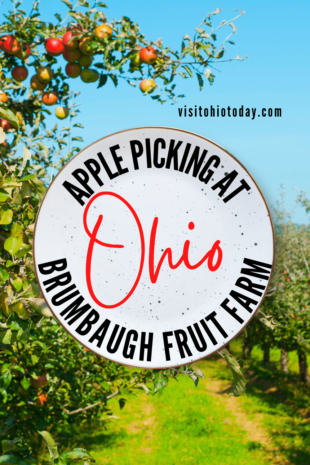 Brumbaugh Fruit Farm is located in Arcanum, Ohio. At Brumbaugh Fruit Farm you can find lots of fun Fall activities and Fall themed food.