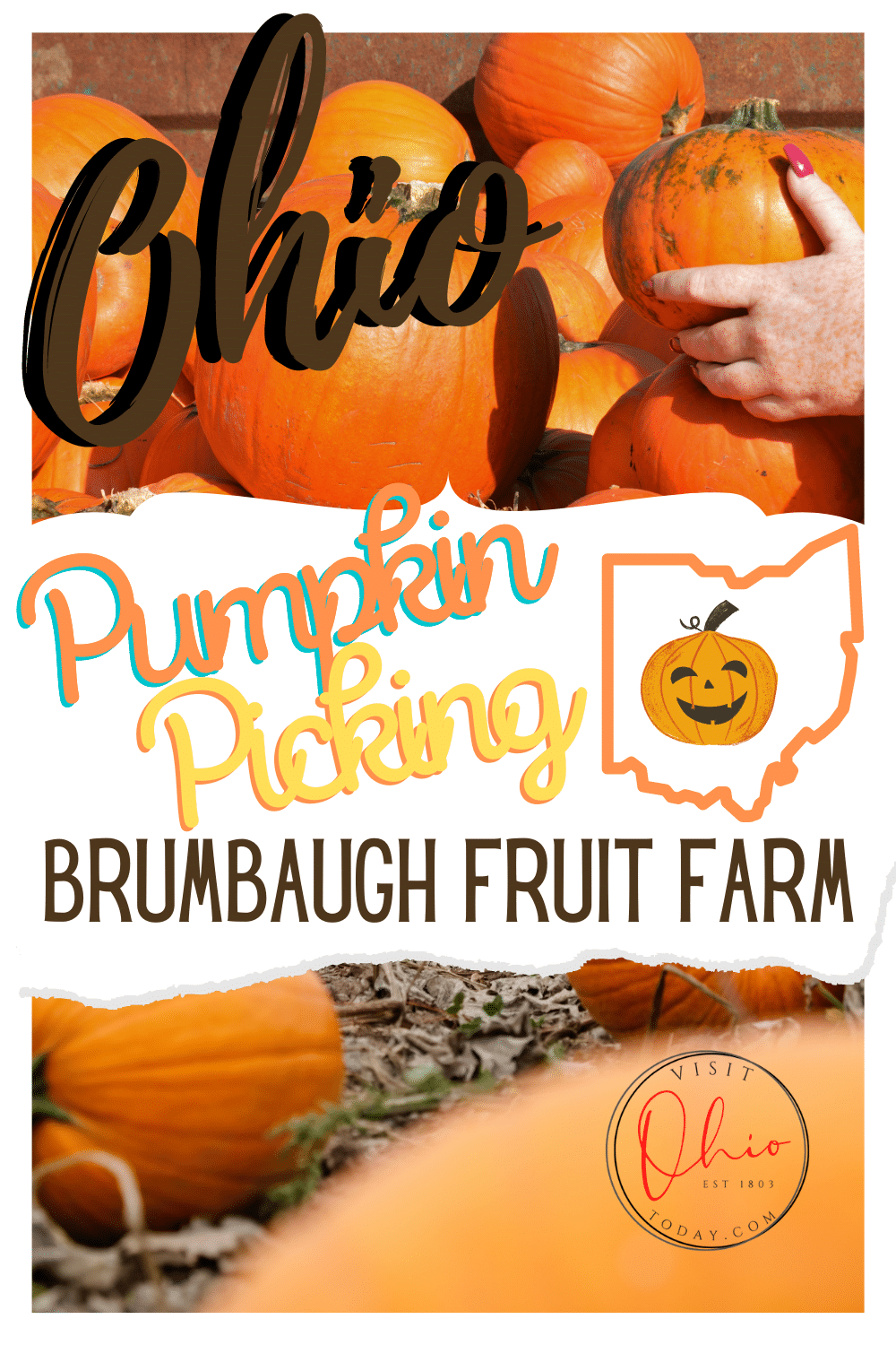 Brumbaugh Fruit Farm is located in Arcanum, Ohio. At Brumbaugh Fruit Farm you can find lots of fun Fall activities and Fall themed food. #ohio #apples #pumpkins #fallfestival #fruitfarm
