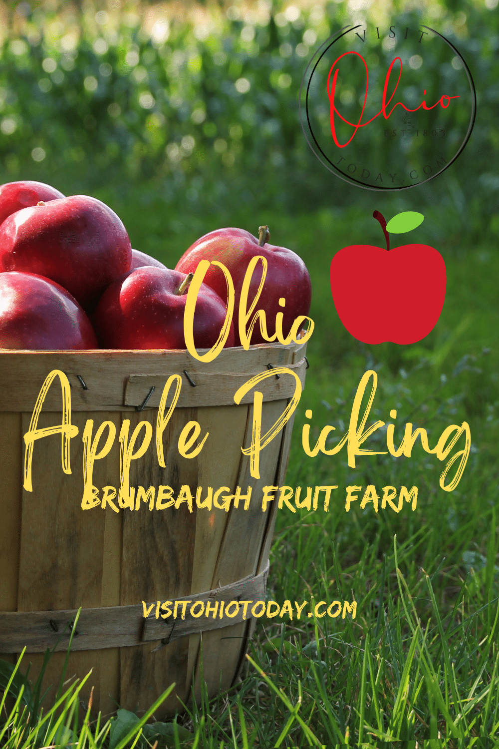 Brumbaugh Fruit Farm is located in Arcanum, Ohio. At Brumbaugh Fruit Farm you can find lots of fun Fall activities and Fall themed food.