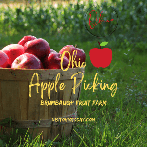 feature image size of a brown basket of red apples sitting in green grass with yellow test: ohio apple picking