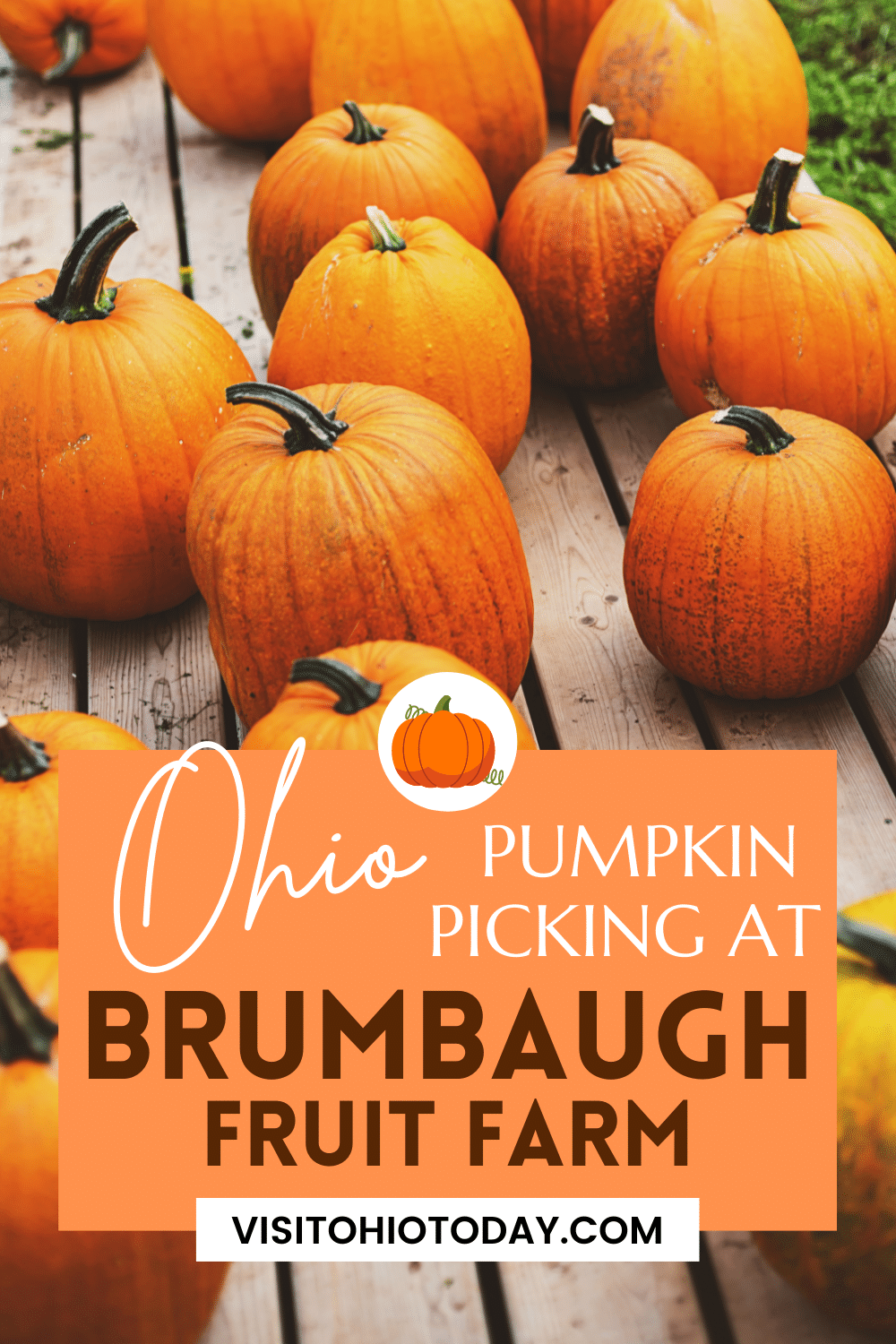 Brumbaugh Fruit Farm is located in Arcanum, Ohio. At Brumbaugh Fruit Farm you can find lots of fun Fall activities and Fall themed food.