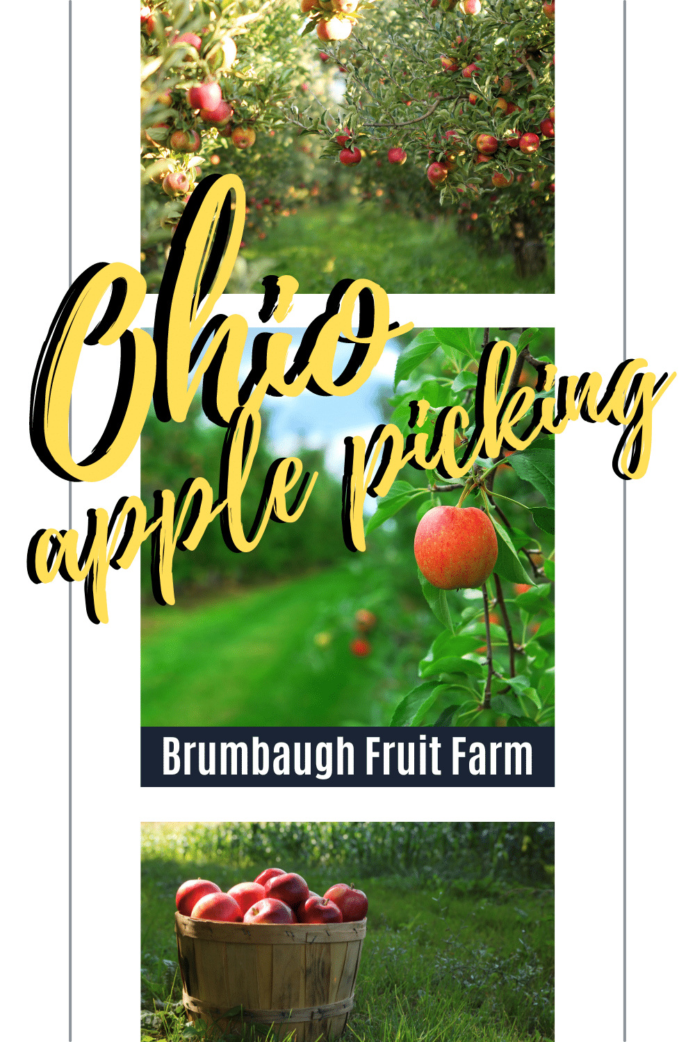 Brumbaugh Fruit Farm is located in Arcanum, Ohio. At Brumbaugh Fruit Farm you can find lots of fun Fall activities and Fall themed food.