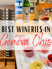 text: best wineries in geneva ohio Collage picture of glass wine bottles in wine stand, green wine bottle with plastic cup in front with yellow liquid, red liquid in tall glasses and black tray with white paper and plastic clear cups filled with yellow and red liquid