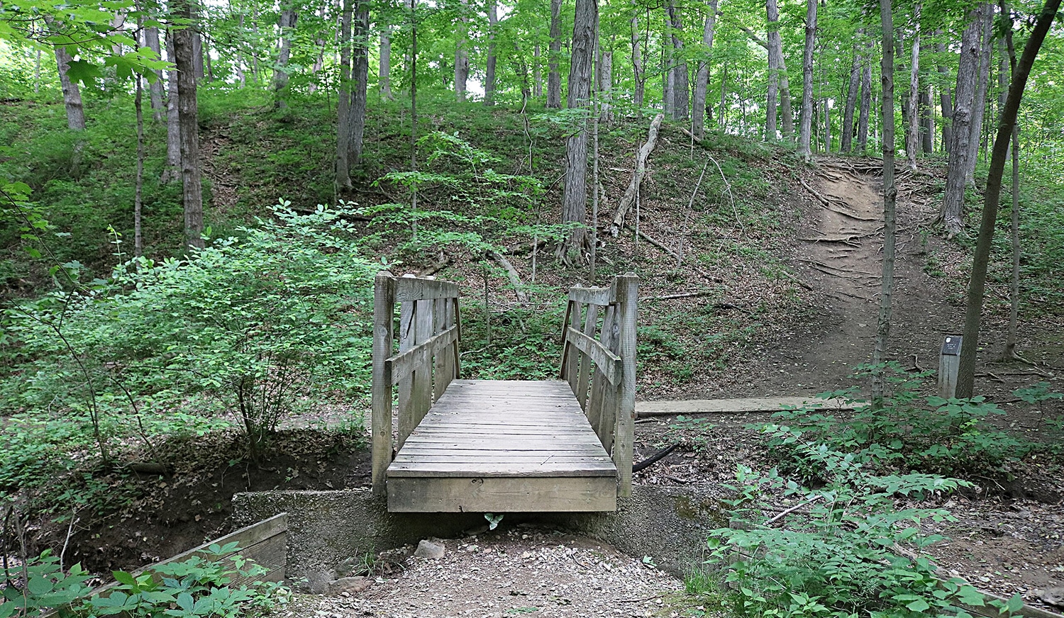 horizontal photo of a wooden bridge at Great Seal State Park with a trail path leading off of it and a landscape of trees.