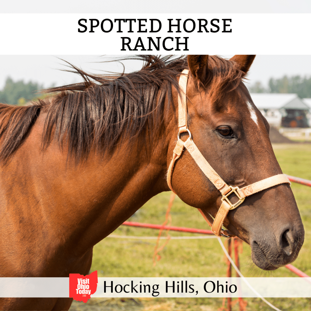 Spotted Horse Ranch 2024 Horseback Riding in Hocking Hills Visit