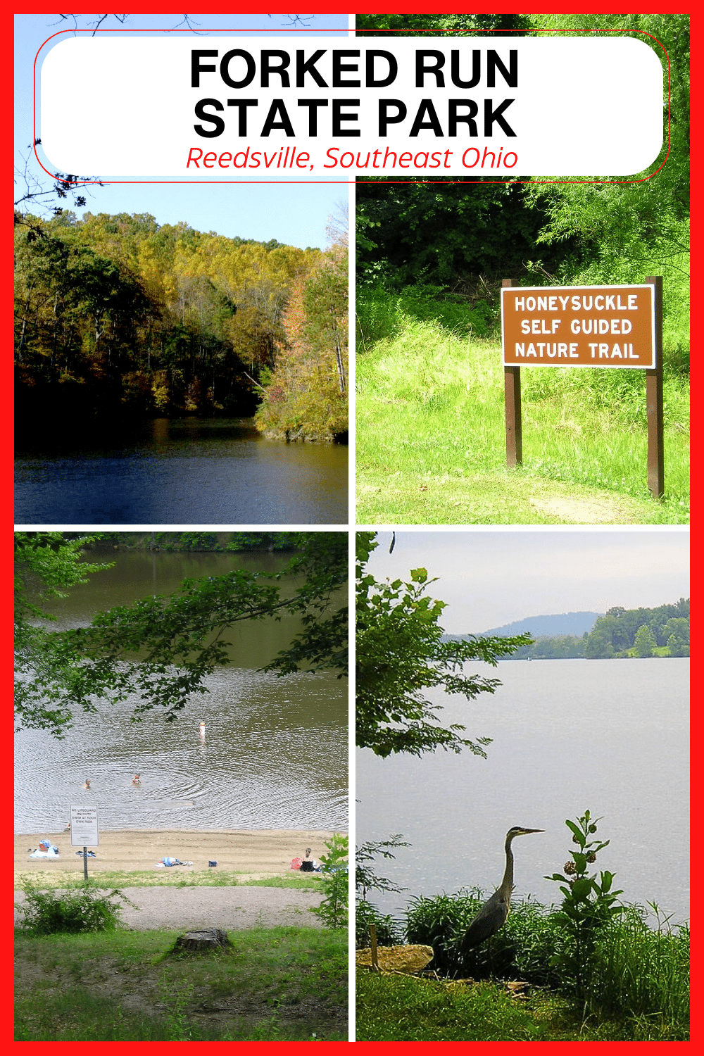 Forked Run State Park is an almost 800 acre state park located in Southeast Ohio. The Ohio state park is full of beautiful landscape, wildlife and history. #ohiostatepark #statepark #forkedrunstatepark #forkedrun #ohio