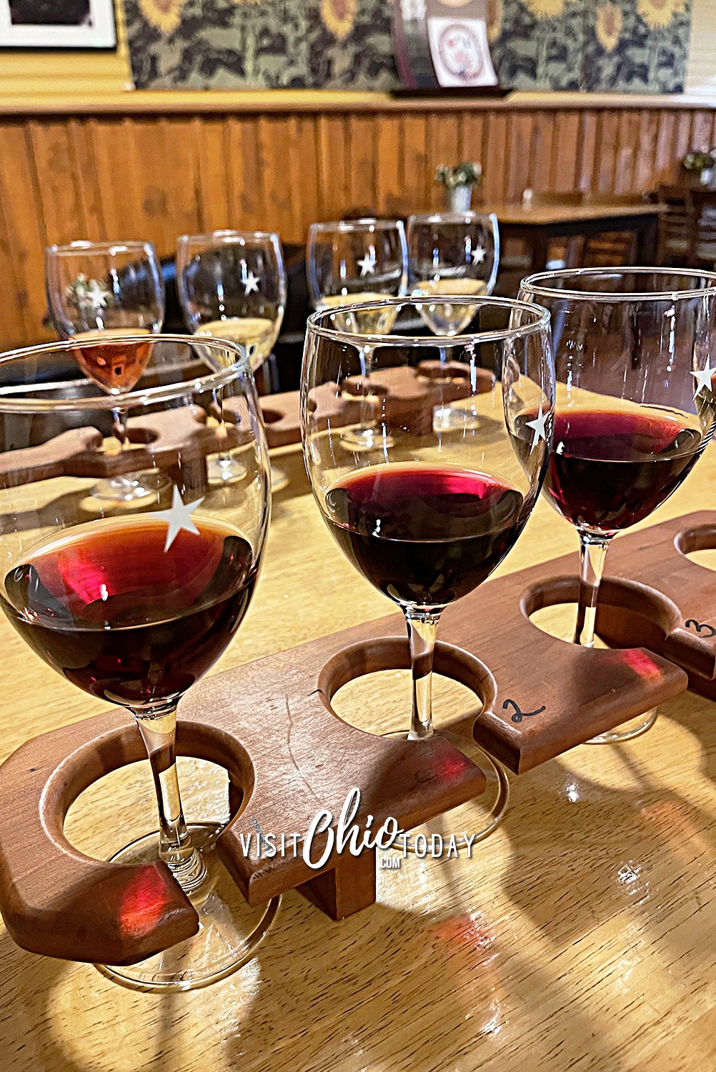 vertical photo of a tasting flight of red wines at the front and a tasting flight of white and blush wines in the background. Photo credit: Cindy Gordon of VisitOhioToday.com