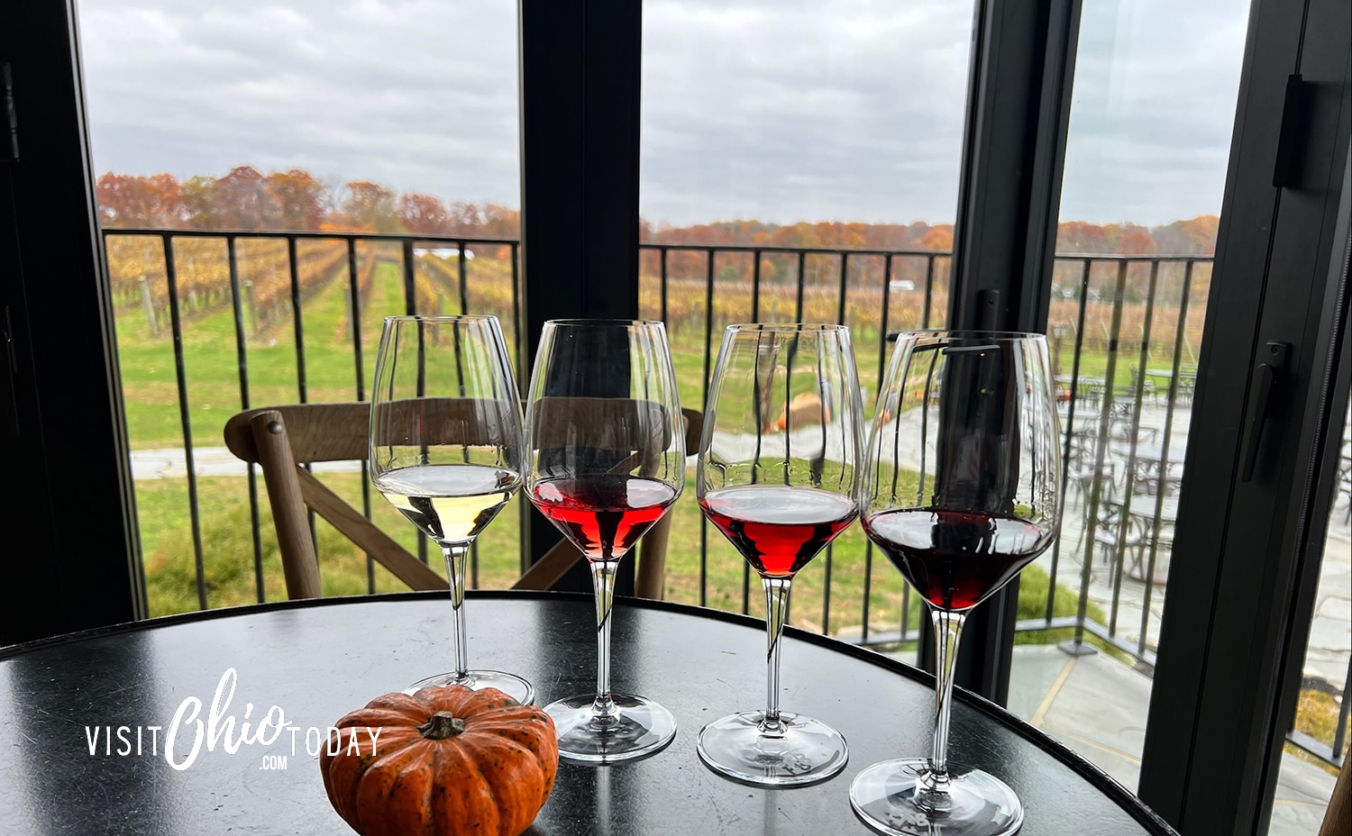 horizontal photo of four glasses of wine on a table in front of a window with a vineyard in the background at Laurentia Vineyard. Photo credit: Cindy Gordon of VisitOhioToday.com