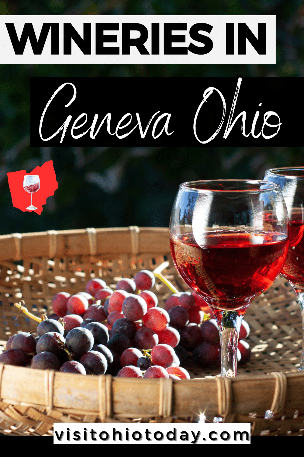 There are over 20+ wineries in Geneva Ohio. Plan a weekend of fun, food and great wine at the wineries in Geneva Ohio! #ohiowine #ohiowineries #genevaohio #AshtabulaCounty