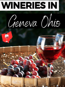 Vertical image of two glasses containing red wine sat on a wicker tray with a bunch of red grapes. Text overlay says wineries in geneva ohio