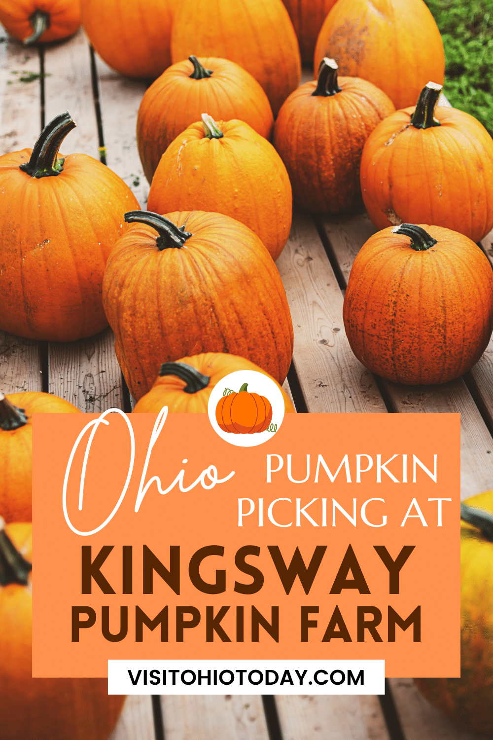 Text: Ohio Pumpkin PIcking at Kingsway Pumpkim Farm with orange pumpkins on a wood slat deck
