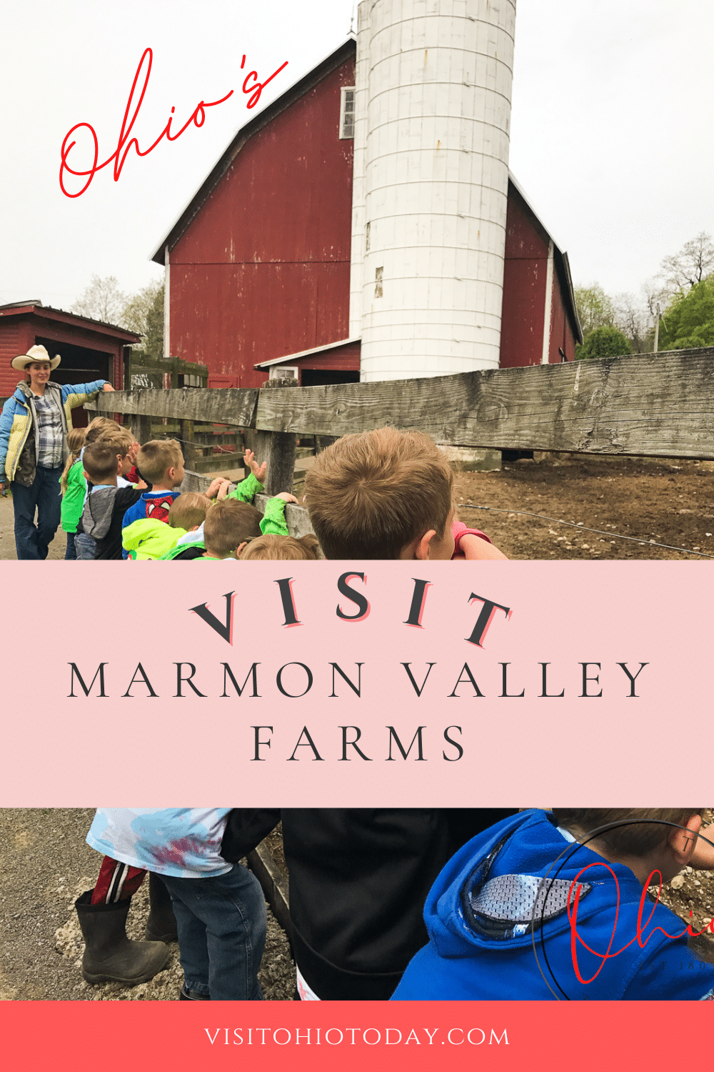 With over 150 horses, Marmon Valley Farms is the perfect place to enjoy a trail ride through the beautiful wooded countryside. The farm is also popular for summer camps and school field trips. #MarmonValley #horses #ohio #horsebackriding