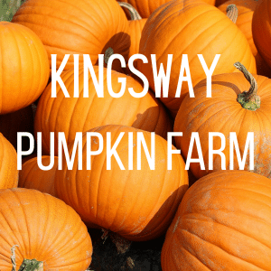 close up shot of orange pumpkins piled up, white text: kingsway pumpkin farm