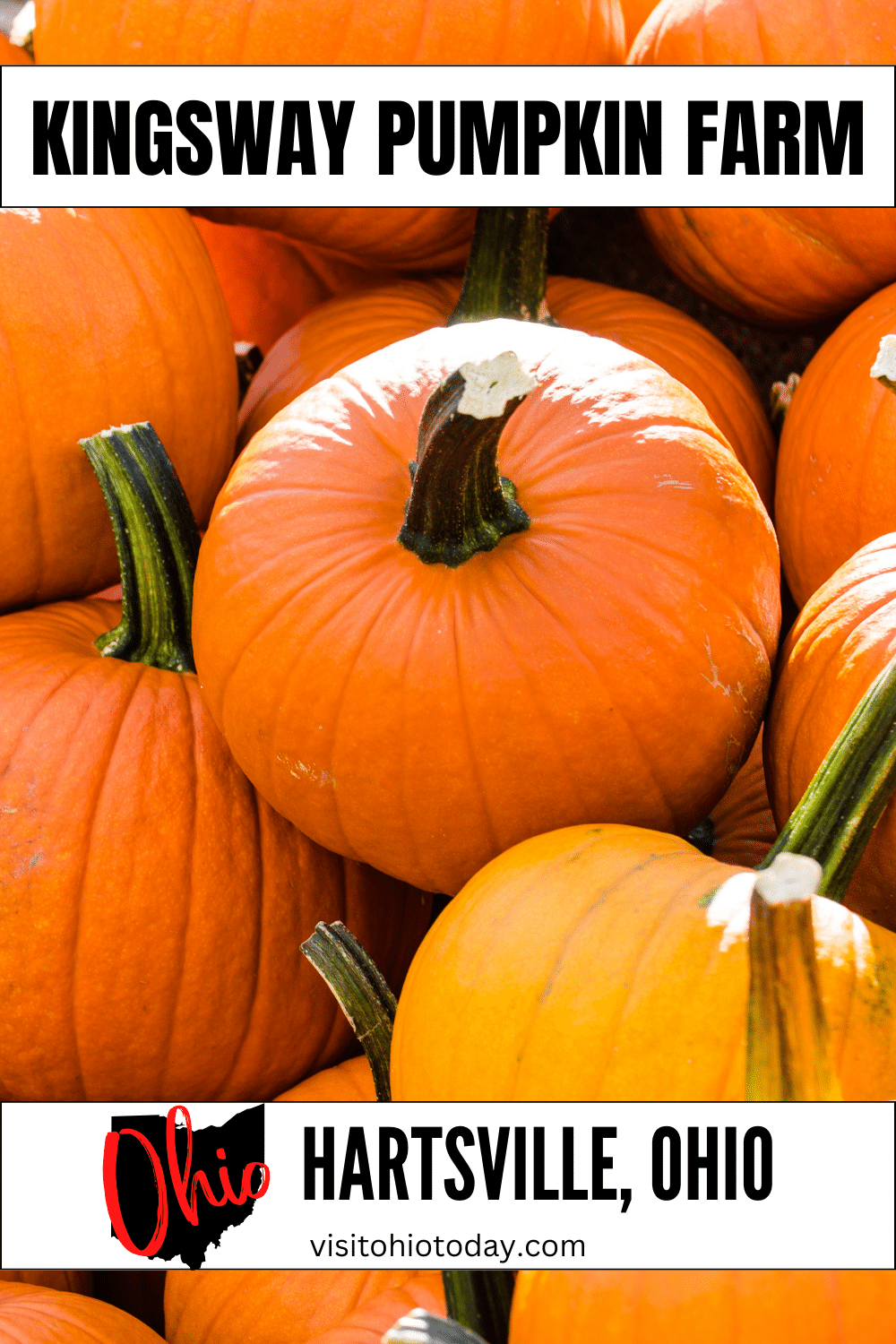 Kingsway Pumpkin Farm is a popular pumpkin patch in Ohio. Kingsway Pumpkin Farm offers up family oriented activities free from the dark side of Halloween. 
