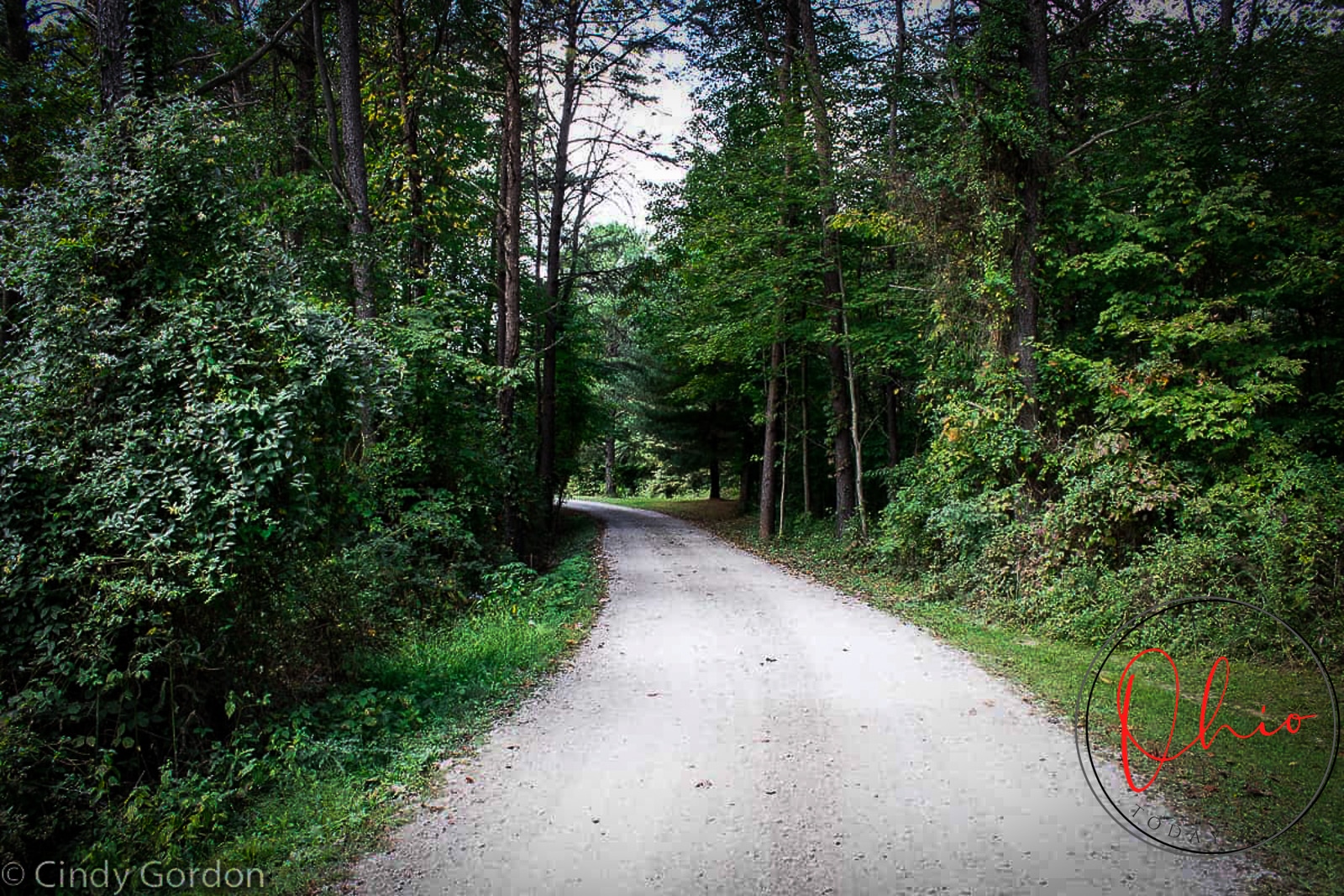 gravel road leading into green forest Photo credit: Cindy Gordon of VisitOhioToday.com