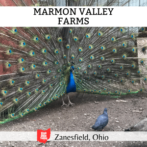 Marmon Valley Farms