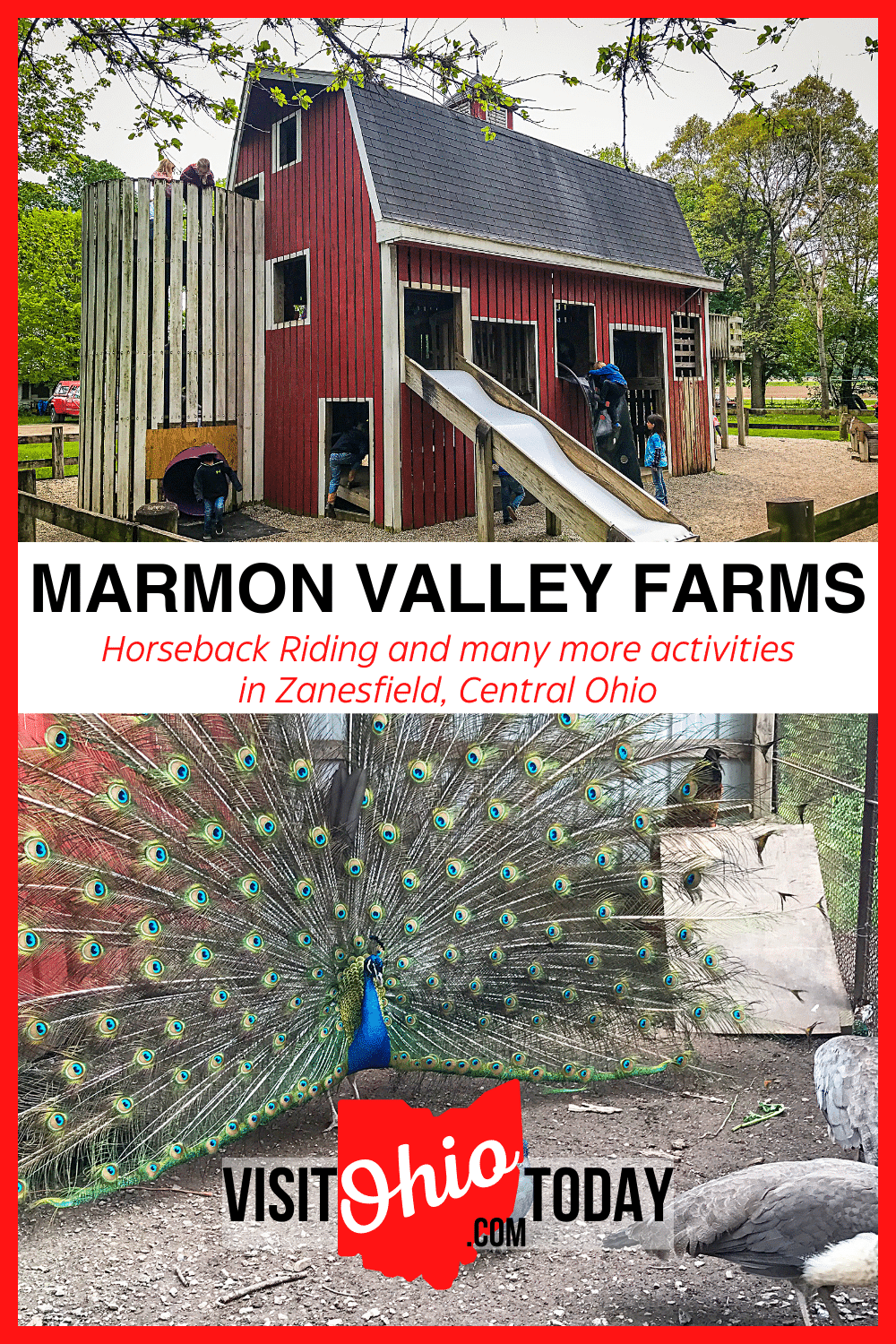 With over 150 horses, Marmon Valley Farms is the perfect place to enjoy a trail ride through the beautiful wooded countryside. The farm is also popular for summer camps and school field trips. #MarmonValley #horses #ohio #horsebackriding