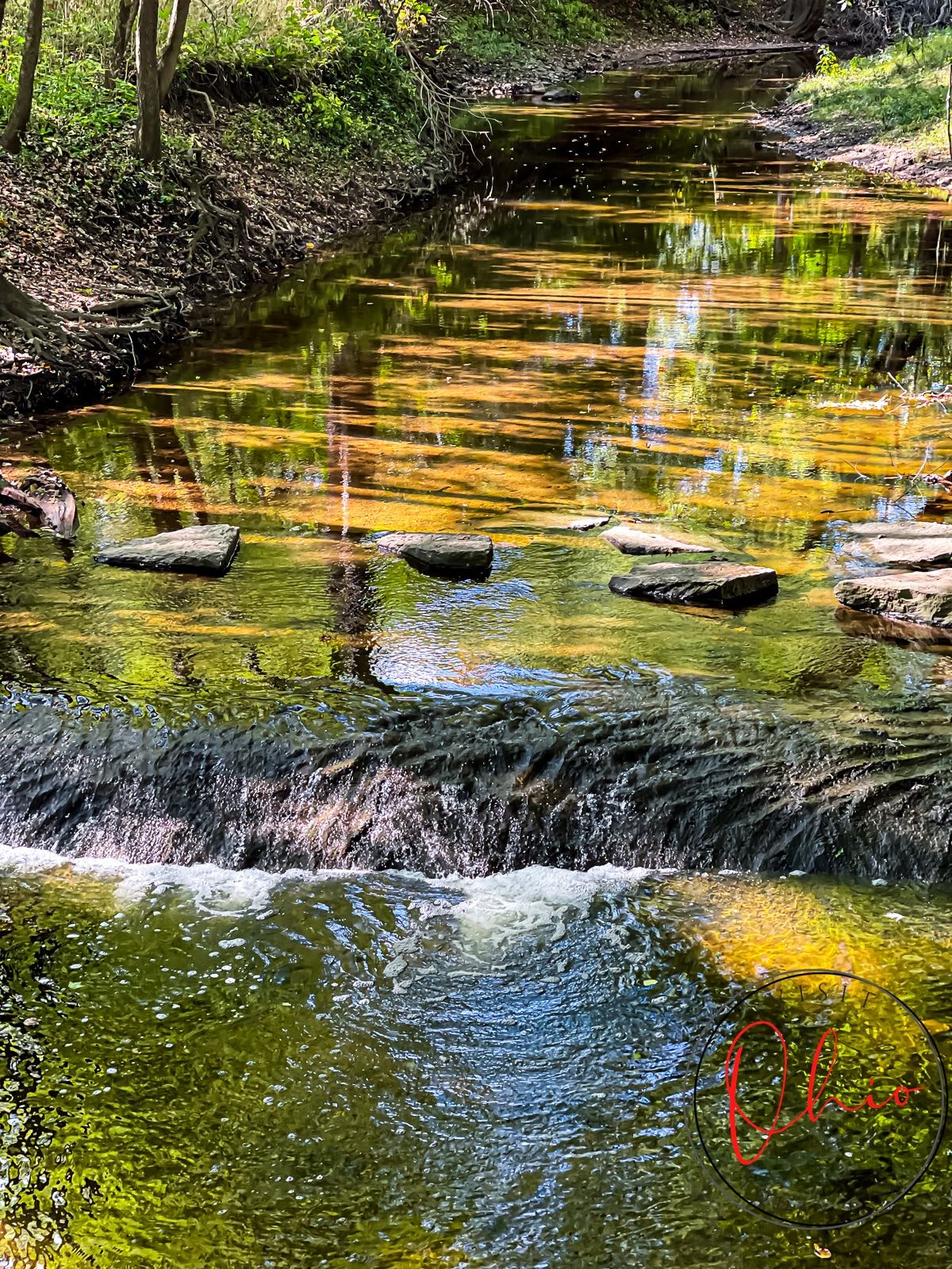 yellow and green creek with brown stones and water