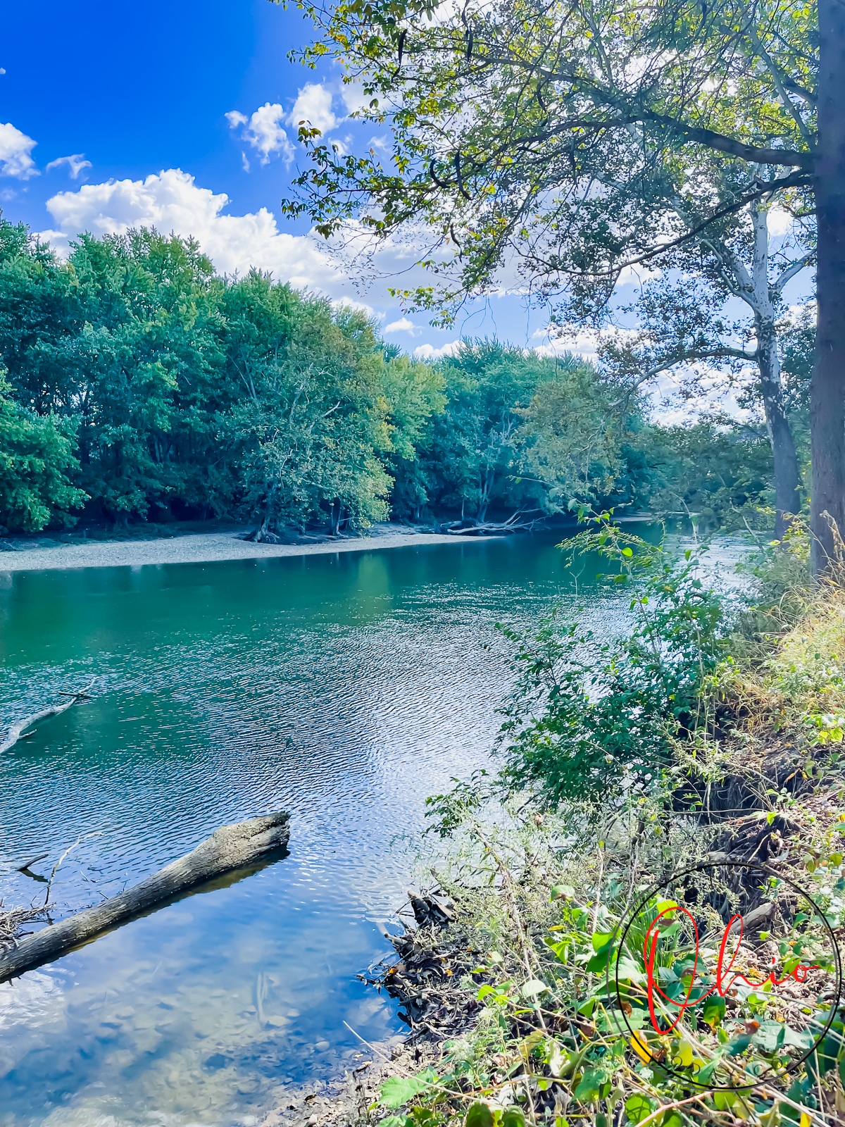 picture of a blue river with blue sky and white clouds and green trees in background
