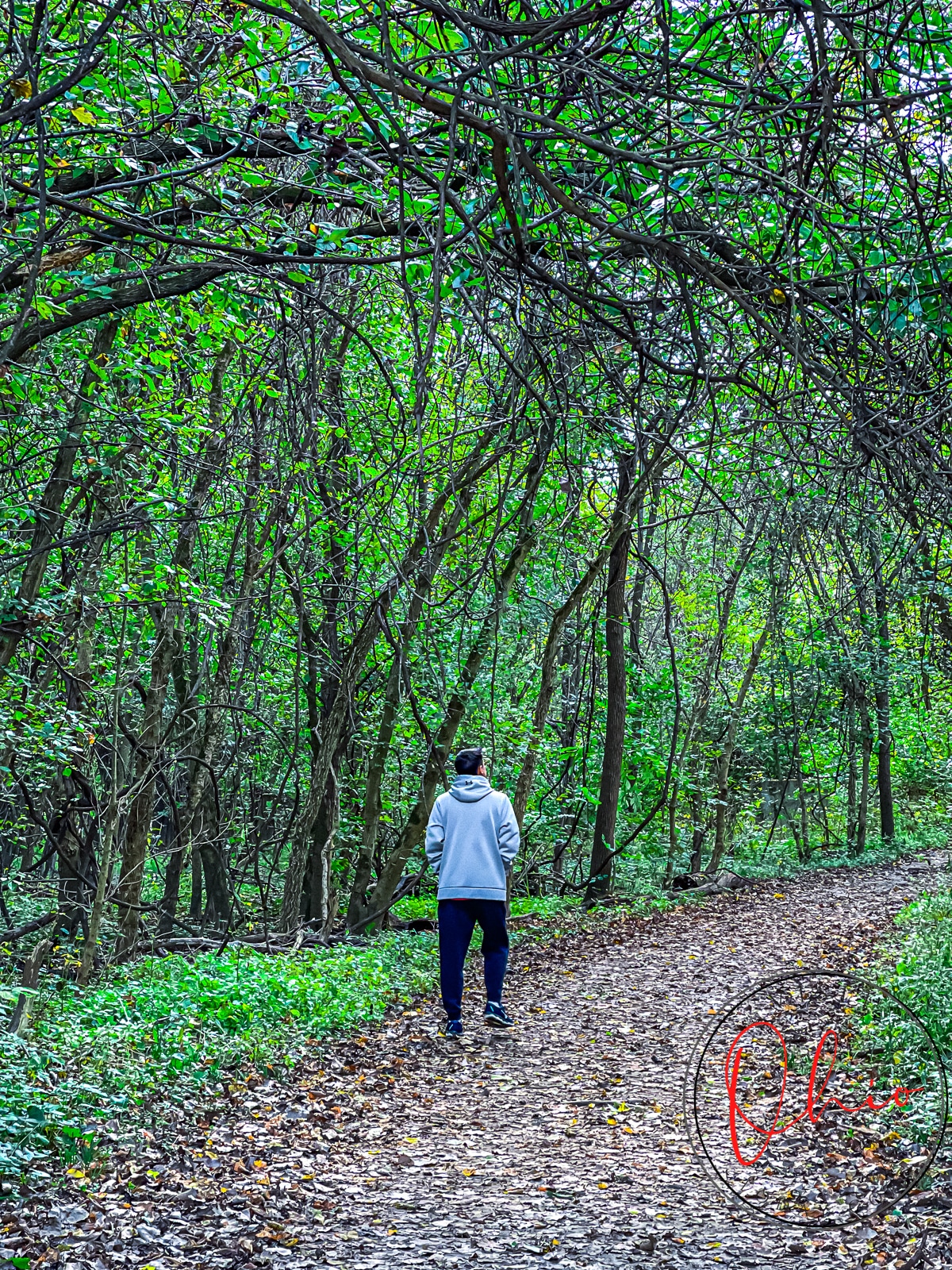 man in grey sweatshirt walking dirty path through green tree lined path