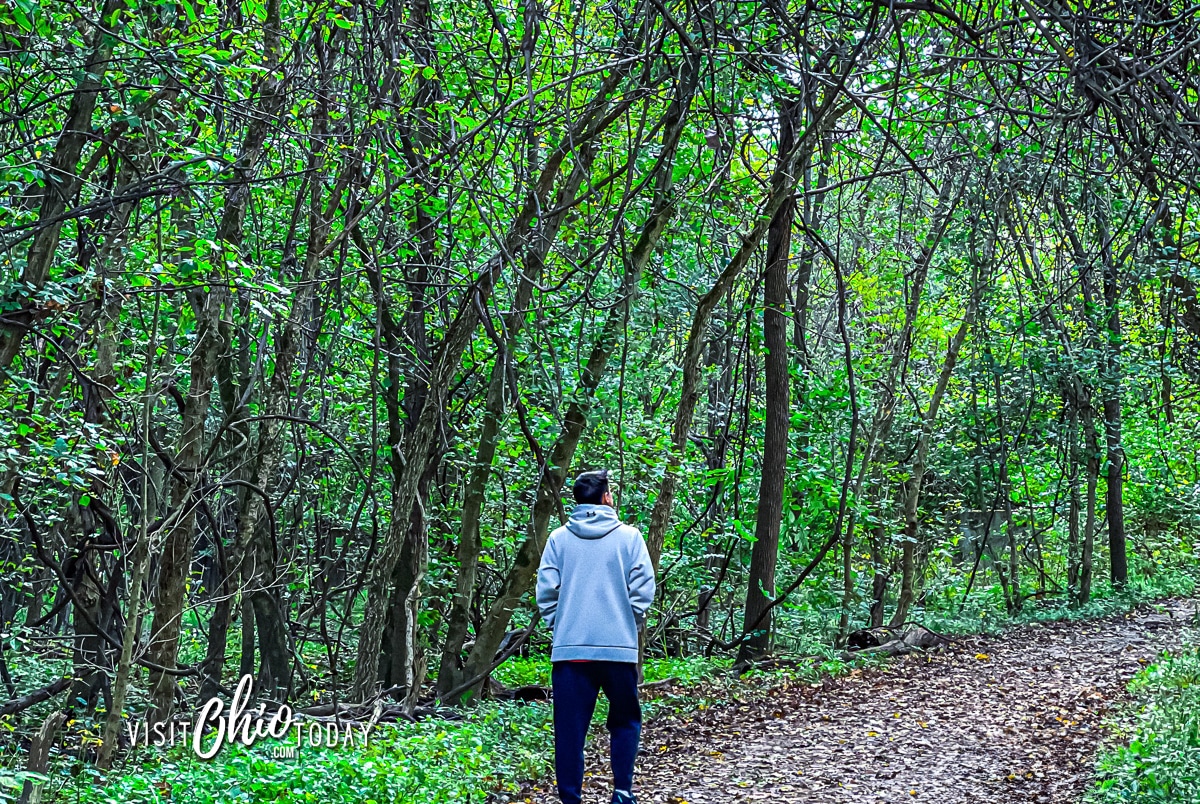 horizontal photo of a man in grey sweatshirt walking dirty path through green tree lined path Photo credit: Cindy Gordon of VisitOhioToday.com