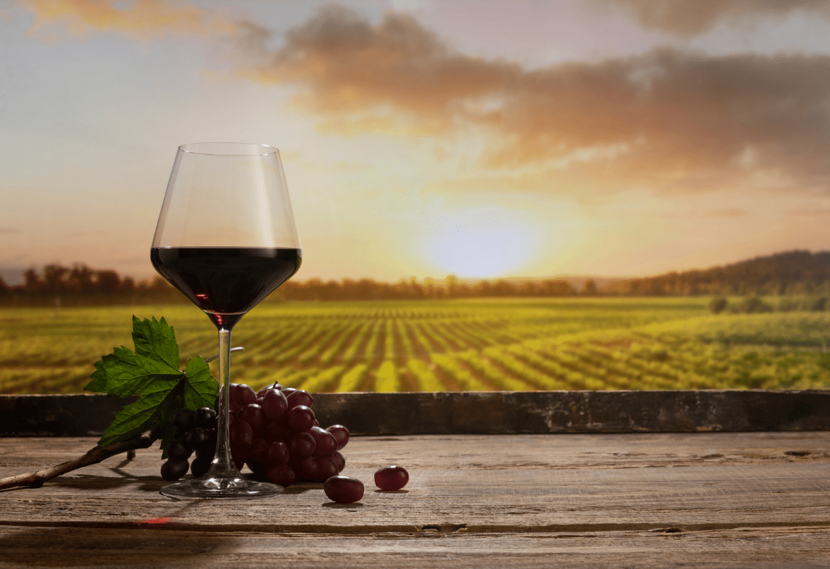 horizontal photo of a glass of red wine on a table with some red grapes and a vineyard in the background at sunset