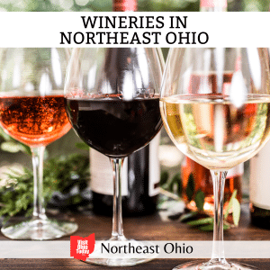 Wineries in Northeast Ohio