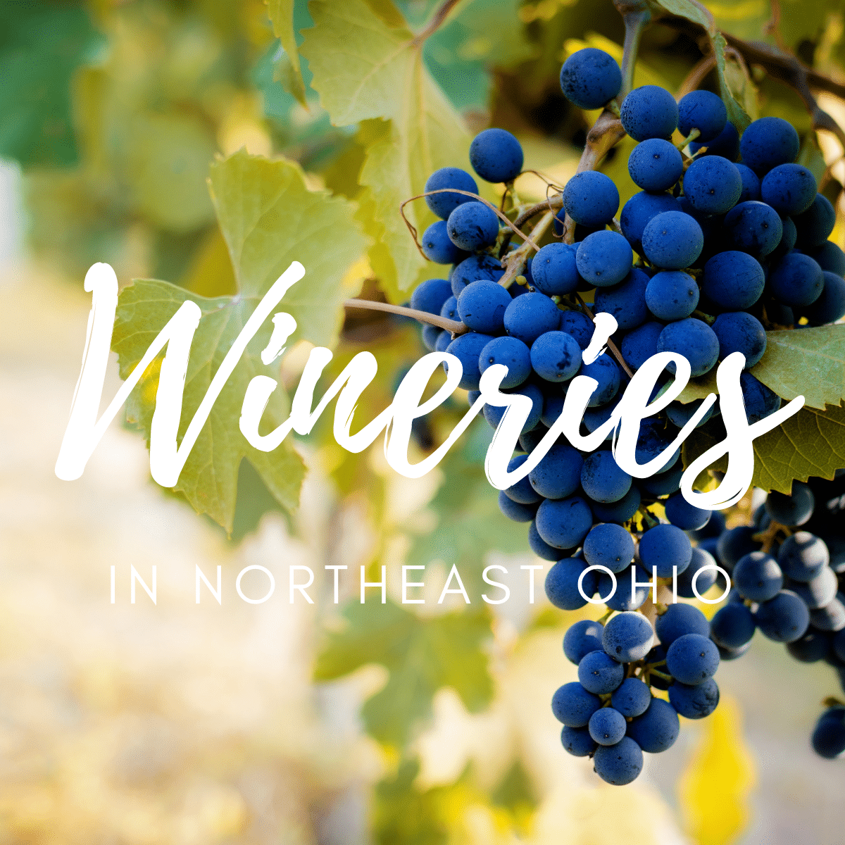 Wineries in Northeast Ohio Visit Ohio Today