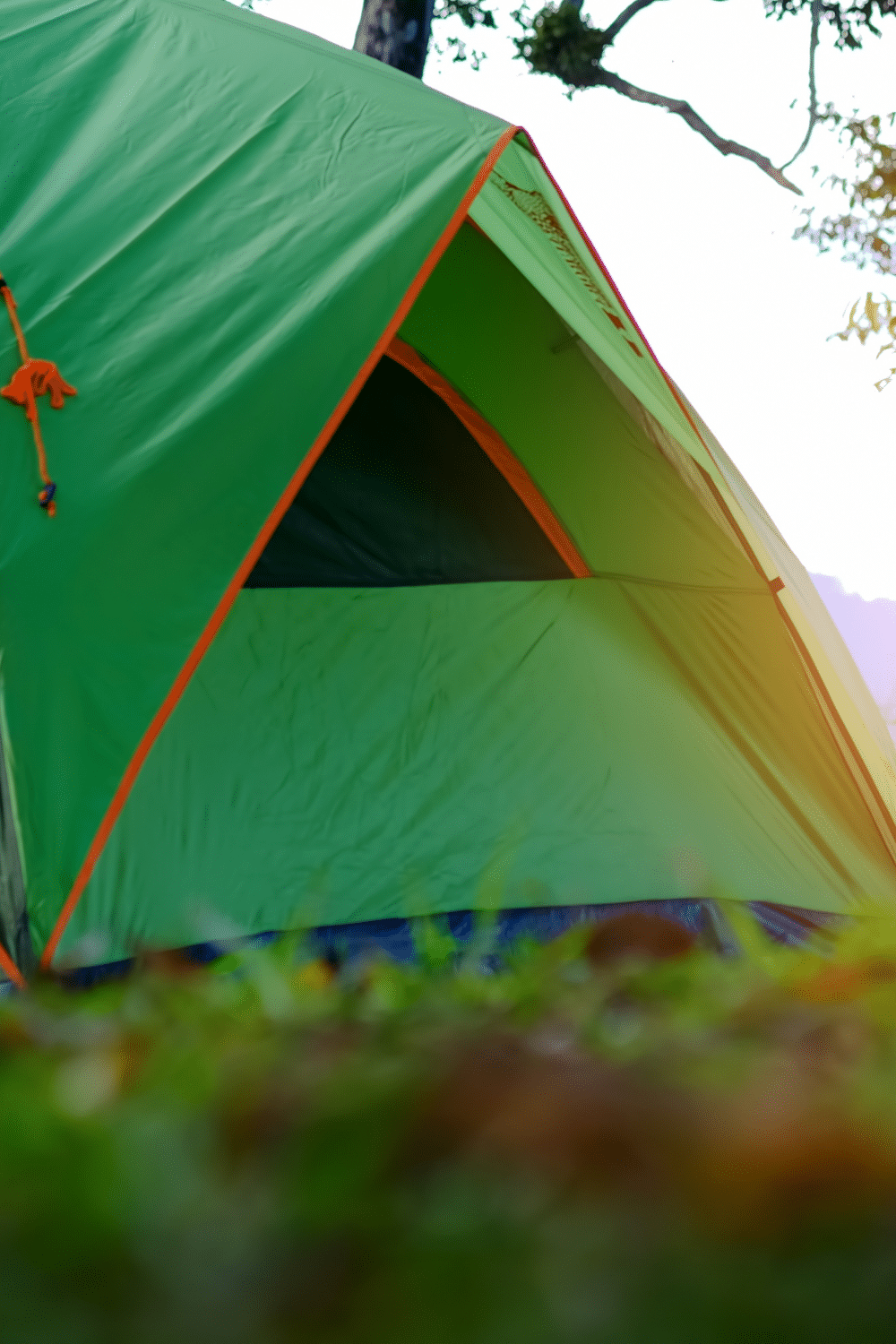 green pop up tent on green grass