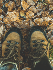 brown hiking shoes on top of frosted leaves
