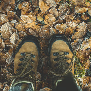 brown hiking shoes on top of frosted leaves